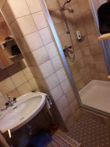 ThurnUnterniggleralm的一间带水槽和淋浴的小浴室