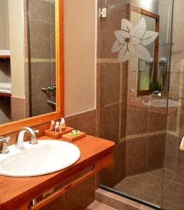 贝拉维斯塔圣伊内斯贝拉维斯特酒店 的一间带水槽和淋浴的浴室