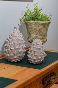 克罗夫Weingut Gerd Müllers的桌上放着两片银 ⁇ 萝花瓶,上面放着一株植物