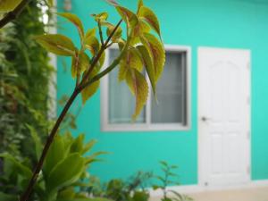 曼谷Makkasan Happy Home的蓝色的房子,有窗户和植物