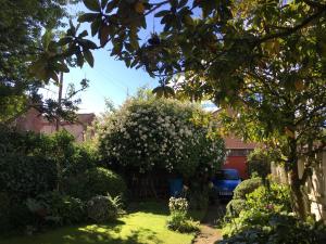 利物浦Square Tree House的院子内种有树和汽车的花园