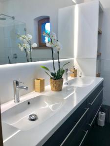 泰尔托Villa Erica的白色的浴室设有两个盥洗盆和镜子