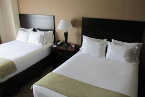 Triadelphia惠灵智选假日套房酒店的酒店客房,设有两张床和一盏灯