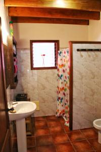 亚伊萨卡萨洛斯艾贾希乡村酒店的一间带水槽和淋浴的浴室