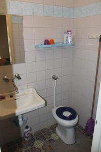 布达佩斯Casa Mamma的一间带卫生间和水槽的浴室