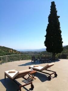 ParaspórionVilla Irini - Cretan Luxury Villa with Amazing View的两把躺椅,位于带树的庭院