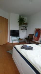 AlfterTausendschön的一间卧室配有一张床和一台平面电视