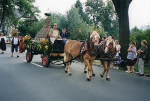 奥尔贝尔恩豪Hotel Carola的几匹马在游行中拉着马车