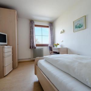 康斯坦茨博登湖兰德酒店的一间卧室配有一张床、一张书桌和一个窗户。