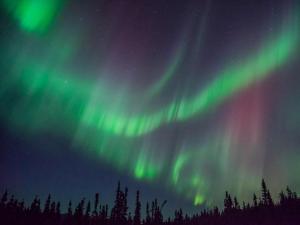 NenanaFireWeed RoadHouse的天空中北极光的图像