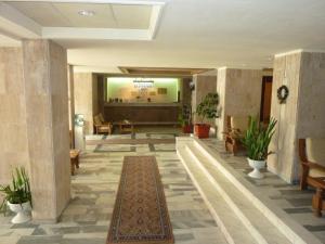 德瓦萨尔米斯酒店的大堂设有长长的走廊,地板上铺有地毯