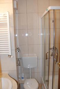 德瓦萨尔米斯酒店的一间带卫生间和玻璃淋浴间的浴室