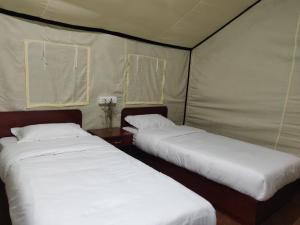 拉冲Ourguest Camp Lachung的客房内帐篷内的两张床
