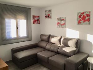 马尔帕尔蒂达德普拉森西亚Apartamentos Rurales el Trillo的客厅设有棕色的沙发和窗户。