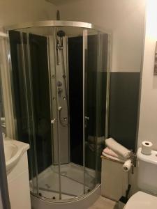 Saint-Martin-dʼUriageAUBERGE SAINT MICHEL的一间带卫生间的浴室内的玻璃淋浴间