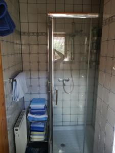 博登斯多夫兰德豪斯多拉公寓的带淋浴和蓝色毛巾的浴室