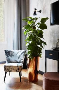 罗马NAMAN HOTELLERIE - Margutta的坐在椅子旁边的一盆盆植物