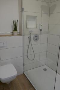 迪尔门Hotel van Lendt - Ihr Frühstückshotel garni的带淋浴和卫生间的浴室