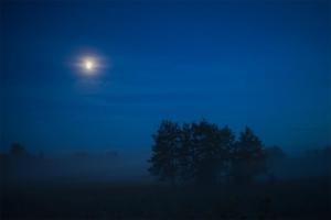 KutyPlace for tent - Miejsce na namiot u stóp natury的雾 ⁇ 的夜晚,在树上月亮