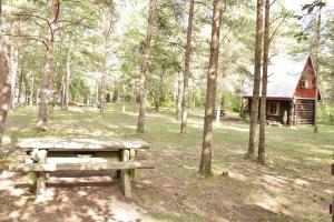 TagarannaKuuli Puhkemajad的野餐桌和树林中的小木屋