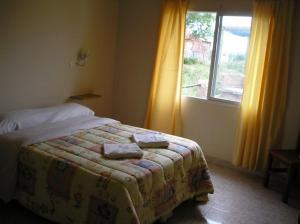 科隆卡瓦尼亚斯普马燕山林小屋的一间卧室设有一张床和一个窗口