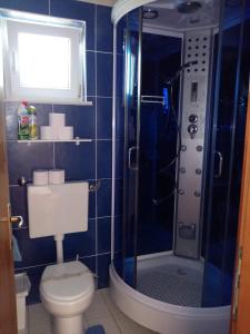 波弗加纳Apartment Pepi的蓝色瓷砖浴室设有卫生间和淋浴。