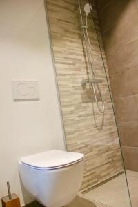 根特Bennestay的带淋浴、卫生间和玻璃淋浴间的浴室