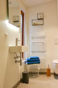 根特Bennestay的一间带水槽、卫生间和镜子的浴室