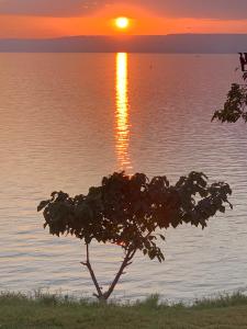 金贾Samuka Island Retreat的水体前的树,日落