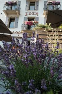 夏蒙尼-勃朗峰Eden Hotel, Apartments and Chalet Chamonix Les Praz的一座建筑前的一大束紫色花