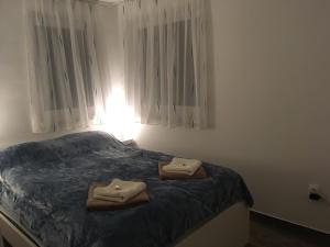 蒂萨凯奇凯Tisza Dream Apartman的一间卧室配有一张床,上面有两条毛巾