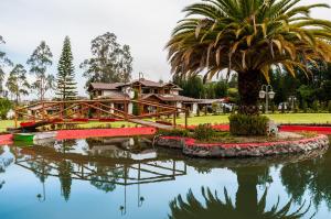 塔巴贝拉卡萨德坎波塔巴贝拉精品酒店的一座棕榈树池塘上的桥上的房子