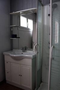 迪耶普L'écoutille的一间带水槽、镜子和淋浴的浴室
