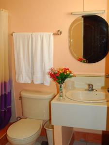 奥隆阿波Playa Papagayo Beach Inn的一间带卫生间、水槽和镜子的浴室
