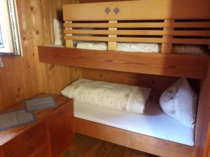 ThurnUnterniggleralm的小木屋内的双层床,配有木制橱柜