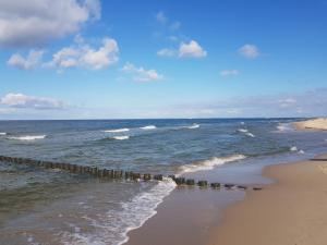 于克里茨Dünenhaus - Bungalow groß - zum Strand 50m的海滩上可欣赏到海景