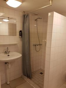 东福尔讷东福尔讷汽车旅馆的带淋浴和盥洗盆的浴室