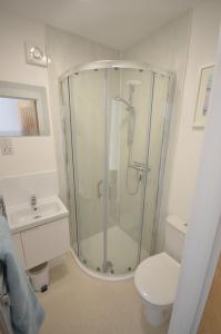 奇切斯特Premium Lake Lodges的带淋浴、卫生间和盥洗盆的浴室