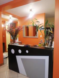 纳斯卡纳斯卡1号旅舍的浴室设有黑白的植物台面