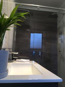 巴瑟斯特Executive Villa, private 2 bedroom in ideal location的一间带水槽和大镜子的浴室