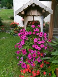 TelveB&B PRA' DEI CERVI的院子里种着粉红色花的鸟舍
