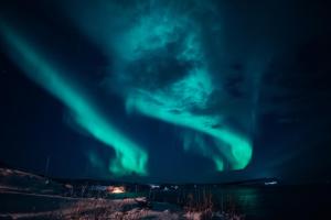 VarangerbotnVaranger Fisherman's Shed的相册照片