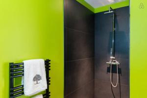 拉西约塔Chambre d'hôtes LE SECADOU的带淋浴的浴室和绿色墙壁