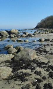 PutgartenHaus Ebel的海滩上的一群岩石,有水