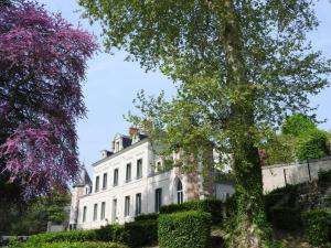 拉·寿塞·圣·威Château des Basses Roches的前面有一棵树的白色房子