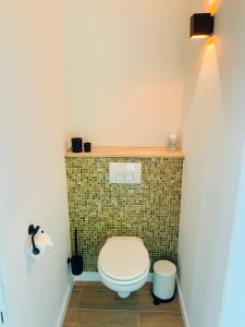 德哈恩Residentie Lenthe的浴室配有带绿色瓷砖墙的卫生间