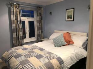 纽基Atlantic Lodge的窗户和床罩的房间里一张床位