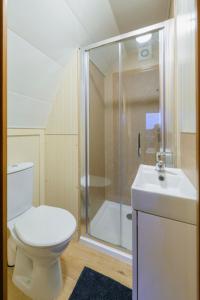 基拉尼Farmyard Lane Glamping的浴室配有卫生间、淋浴和盥洗盆。