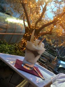 波尔莱扎康科迪亚酒店的一杯冰激凌在树旁的桌子上