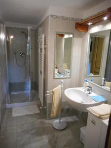 Saint-ChristopheLa Luge的带淋浴和盥洗盆的浴室